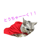 猫(留奈)スタンプ（個別スタンプ：11）