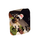 めめたんとハル（個別スタンプ：11）