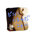 めめたんとハル（個別スタンプ：14）