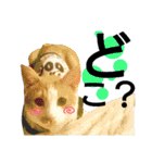 我が家の犬と猫(ハスキー)（個別スタンプ：25）