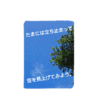 のんびり南の島 Yoron（個別スタンプ：9）