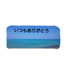 のんびり南の島 Yoron（個別スタンプ：15）