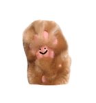 まめちんのおてて（個別スタンプ：1）