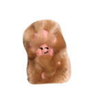 まめちんのおてて（個別スタンプ：8）
