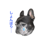クロスケのふがふがスタンプ2（個別スタンプ：14）