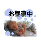はる☆スタ(1)（個別スタンプ：28）