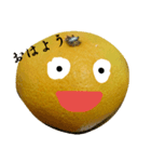 みかん’s（個別スタンプ：1）