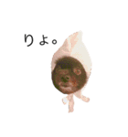 黒ポメのポコと猫with可憐（個別スタンプ：8）