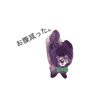 黒ポメのポコと猫with可憐（個別スタンプ：15）