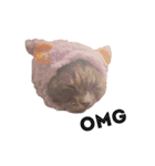 黒ポメのポコと猫with可憐（個別スタンプ：21）