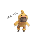 黒ポメのポコと猫with可憐（個別スタンプ：24）