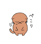 ねこち。（個別スタンプ：5）