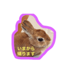 プリティーみるくのスタンプ（個別スタンプ：5）