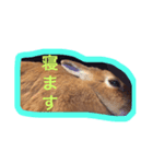 プリティーみるくのスタンプ（個別スタンプ：7）