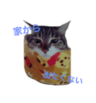 im mira（個別スタンプ：2）