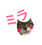 im mira（個別スタンプ：8）