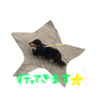 愛犬ライトその2（個別スタンプ：4）