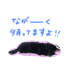 愛犬ライトその2（個別スタンプ：11）