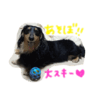愛犬ライトその2（個別スタンプ：15）