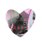 ニャンファミリー（個別スタンプ：7）