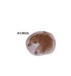 mだっくすふんど2（個別スタンプ：7）