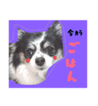 もかちゃんの友達（個別スタンプ：3）