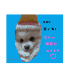 もかちゃんの友達（個別スタンプ：4）