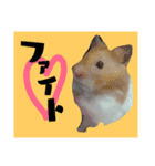 もかちゃんの友達（個別スタンプ：5）