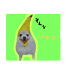 もかちゃんの友達（個別スタンプ：7）