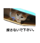 うにっこスタンプ2（個別スタンプ：8）