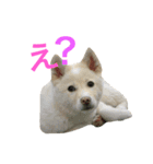 Mix Kai（個別スタンプ：3）