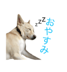 Mix Kai（個別スタンプ：6）