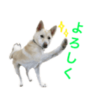 Mix Kai（個別スタンプ：8）