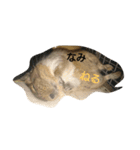 Nami designated(degu)（個別スタンプ：3）