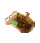 Nami designated(degu)（個別スタンプ：5）