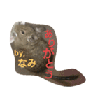 Nami designated(degu)（個別スタンプ：7）