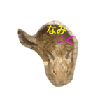 Nami designated(degu)（個別スタンプ：8）