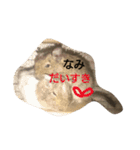Nami designated(degu)（個別スタンプ：15）