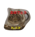 Nami designated(degu)（個別スタンプ：16）