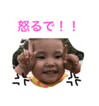 pig every day y（個別スタンプ：1）