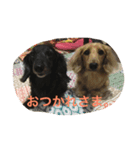 くりん＆あんこ（個別スタンプ：2）