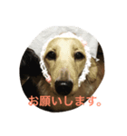 くりん＆あんこ（個別スタンプ：6）