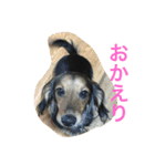 コア（個別スタンプ：1）