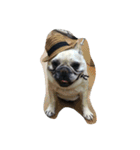 buhicoco（個別スタンプ：10）
