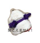 かわいい日本スピッツのスタンプ（個別スタンプ：9）