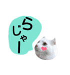 わんにゃんこ3（個別スタンプ：3）