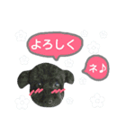 わんにゃんこ3（個別スタンプ：14）