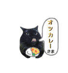 わんにゃんこ3（個別スタンプ：20）