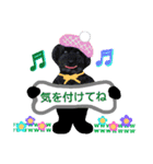 わんにゃんこ3（個別スタンプ：26）
