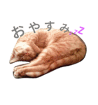 ta-chiku（個別スタンプ：1）